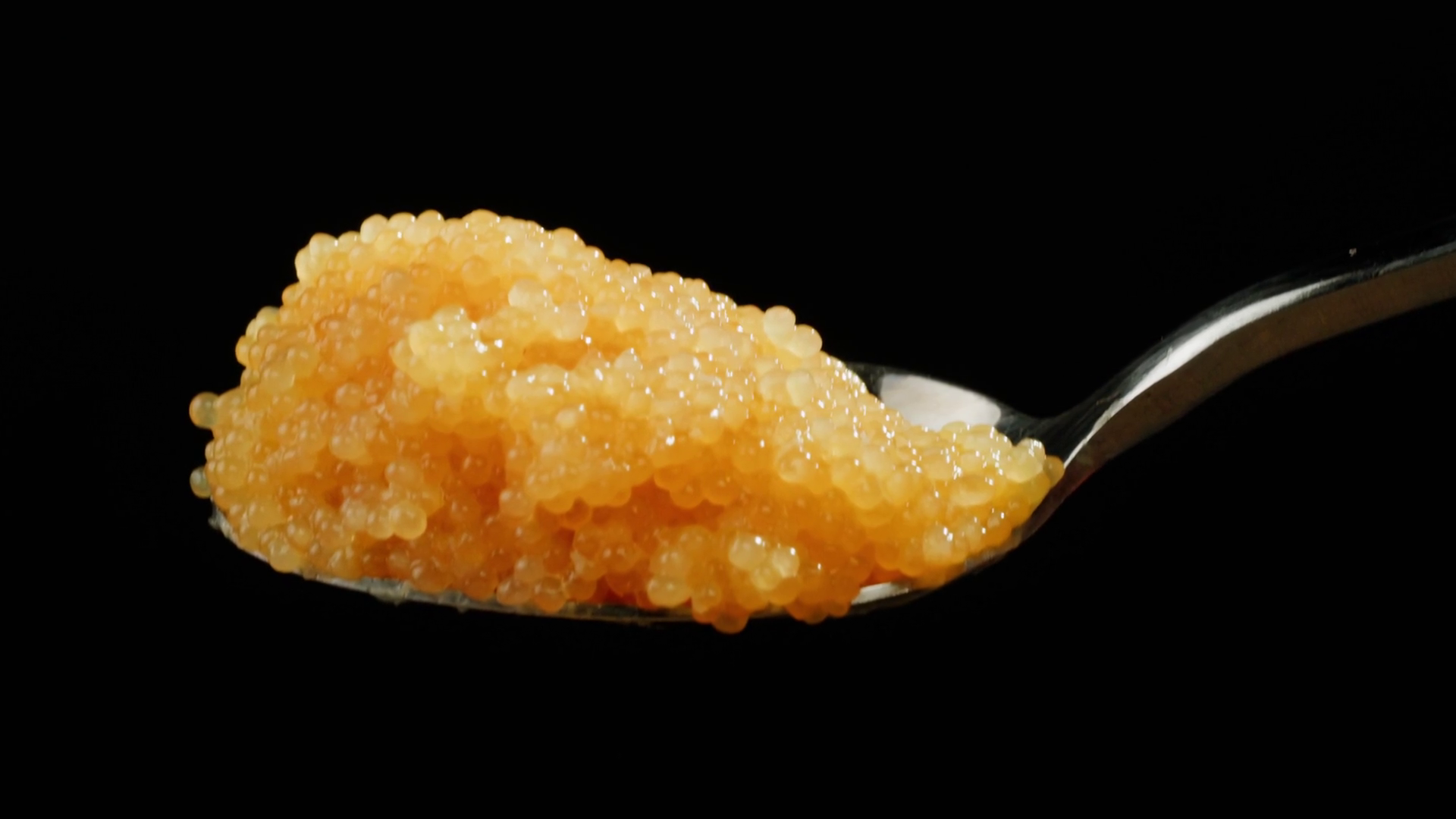 Tobiko Roe Flying Fish Roe Full Frame Macro Stock Footage SBV-352059945 ...