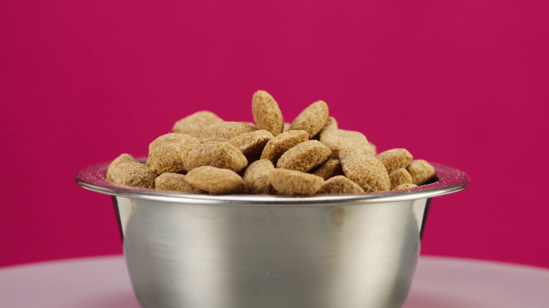 Dried Dog Food In Metal Bowl Closeup Stock Footage SBV346745411