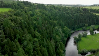 Aerial video of a serene river flowing through a lush green forest