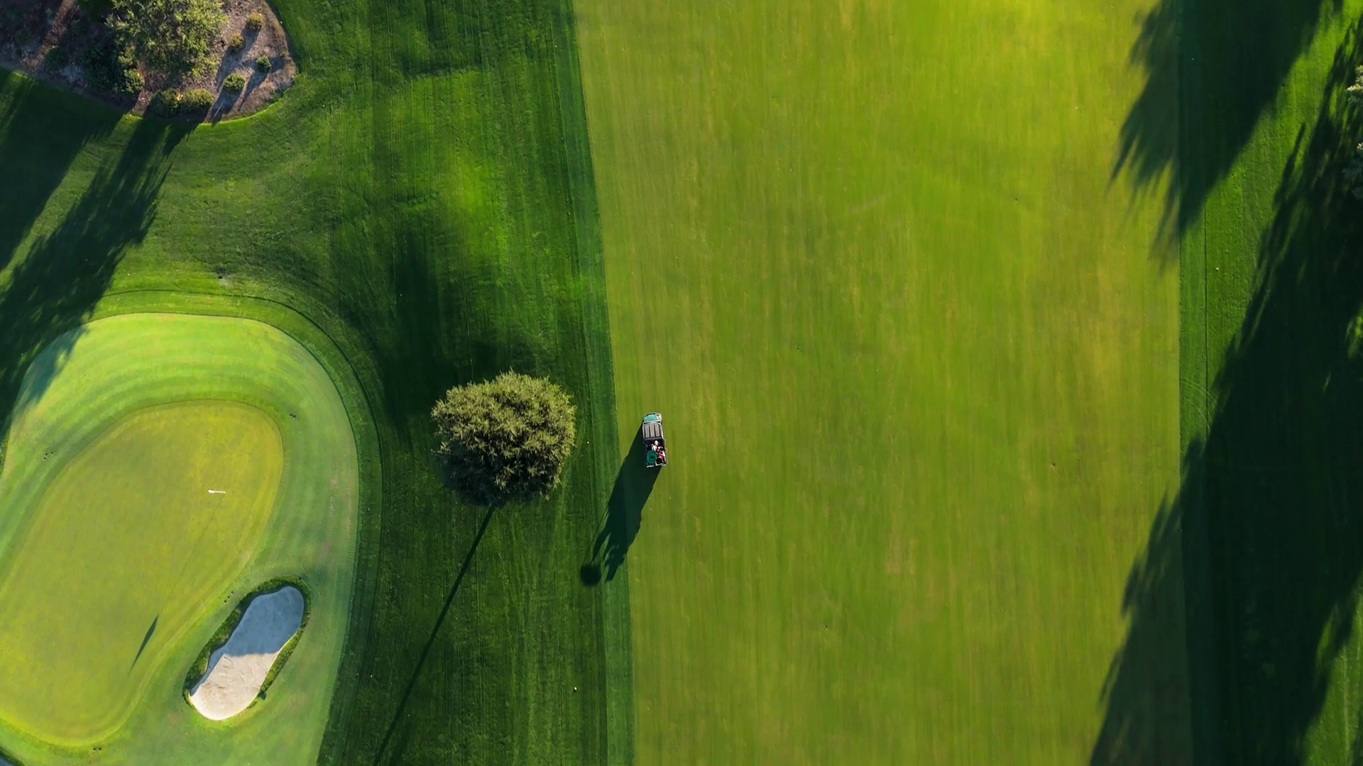Beautiful Golf Course At Beginning Of Day At Stock Footage SBV ...