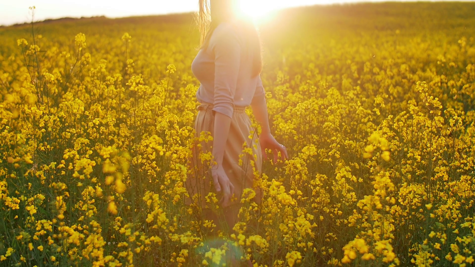 beautiful girl walks on field of flowers at sunset Stock Video Footage