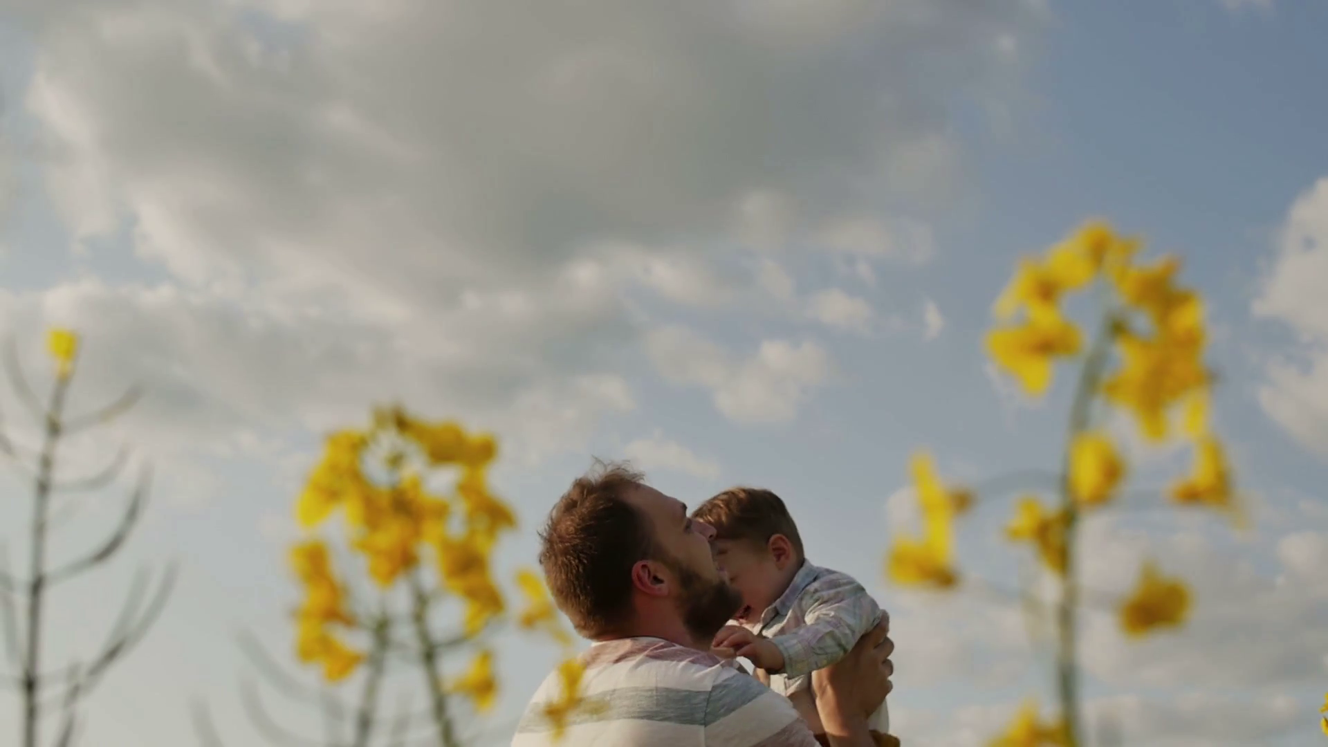 Father throwing son in air. slow motion Stock Video Footage 0020 SBV307813208 Storyblocks