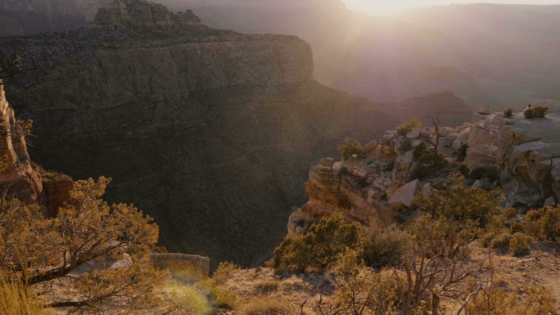 Camera moves right over bushes on rocks to reveal epic sunset backlight