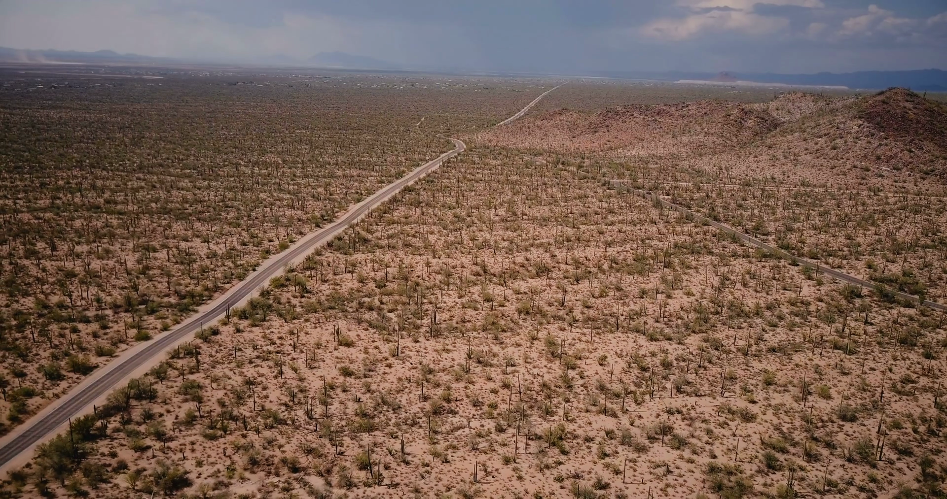 Drone flying left above beautiful desert road in amazing giant cactus