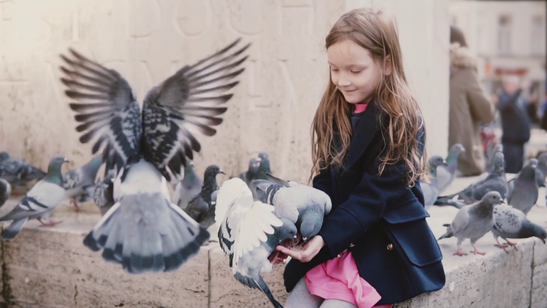 Several pigeons eat from little girl's hands. Slow motion. Happy female kid feeding city birds