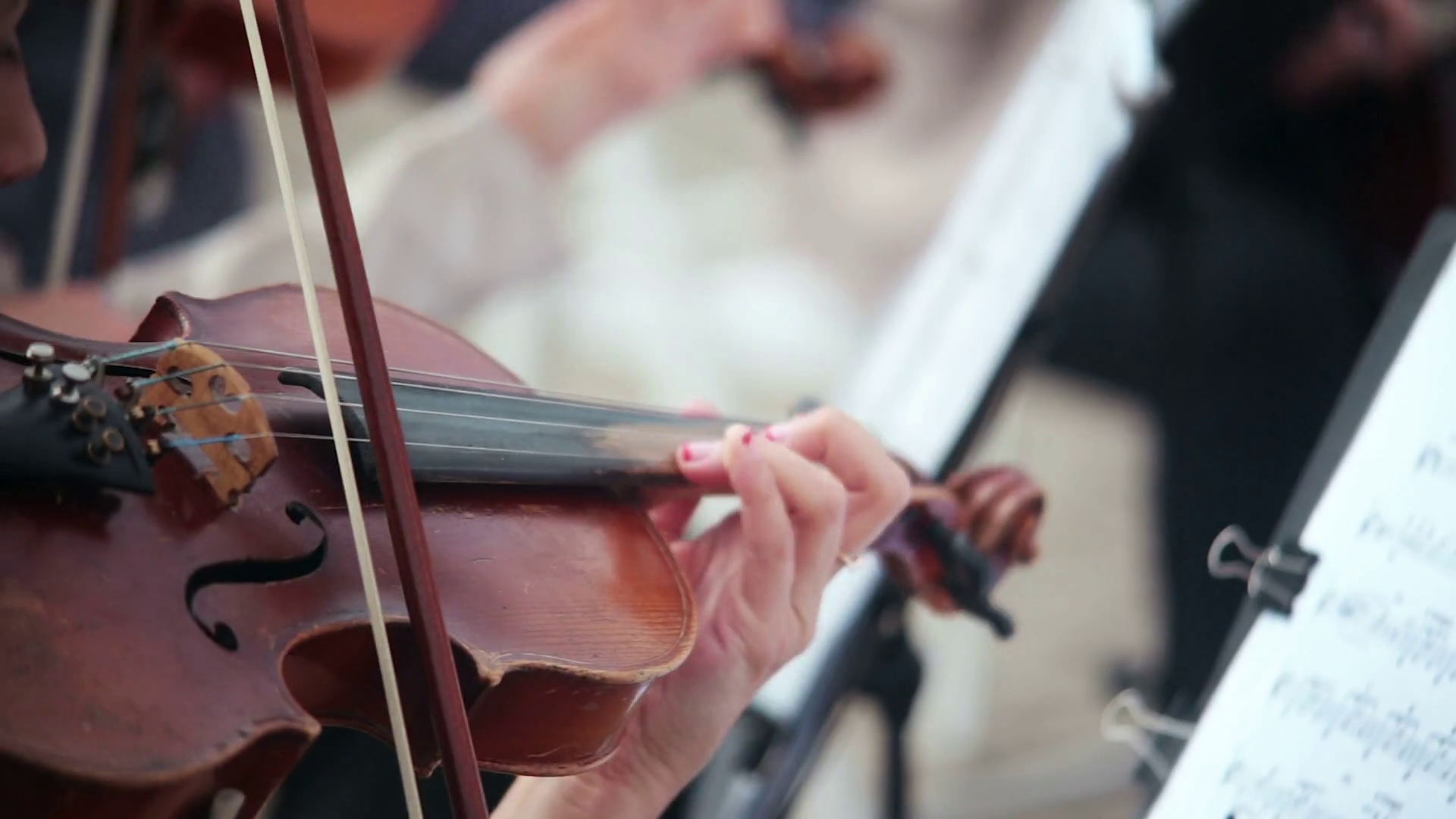 Women Playing Stringed Instruments Violin Stock Footage SBV305379331