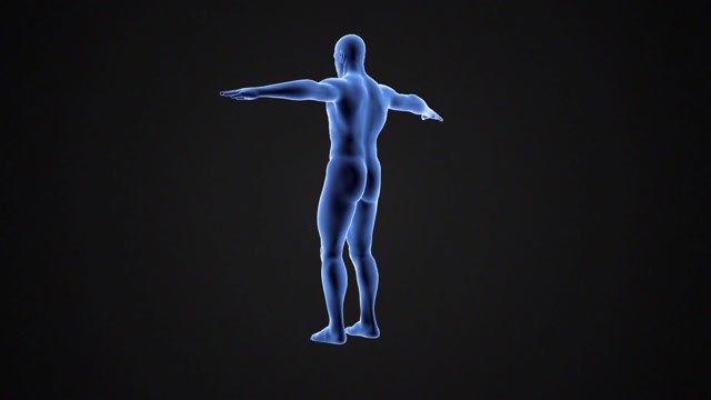 Human Body Animation Stock Footage: Royalty-Free Video Clips - Storyblocks