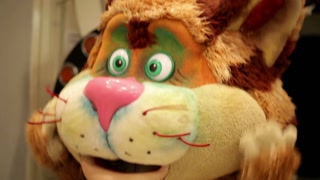 Actor in a cat's costume. Closeup.