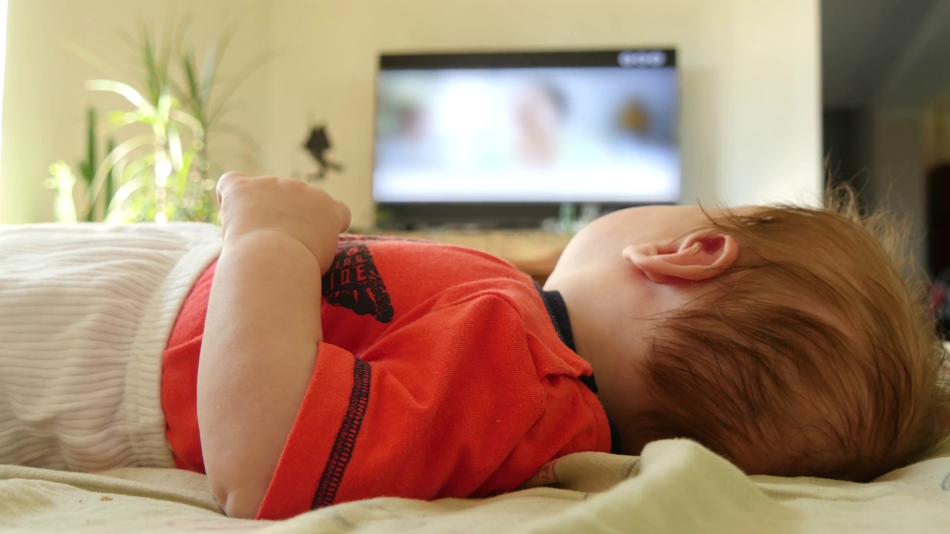 Cute Toddler Enjoying Tv Stock Footage SBV307829688 Storyblocks