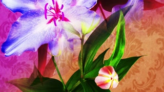 Colorful Living Flower Wallpaper