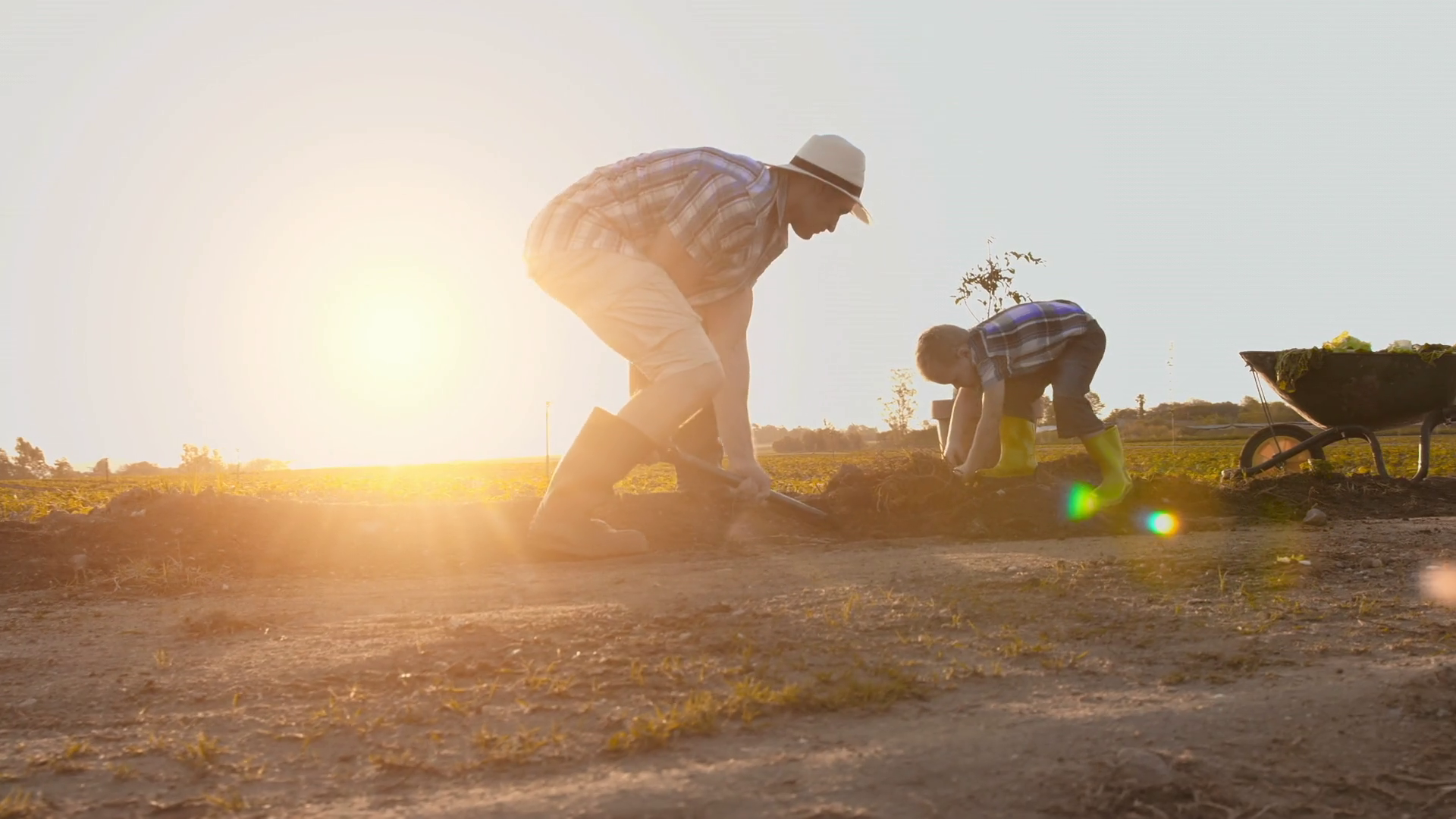 father-son-planting-tree-sunrise-silhouette-stock-footage-sbv-300610303