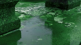 Green Raindrops At Synagogue Runis
