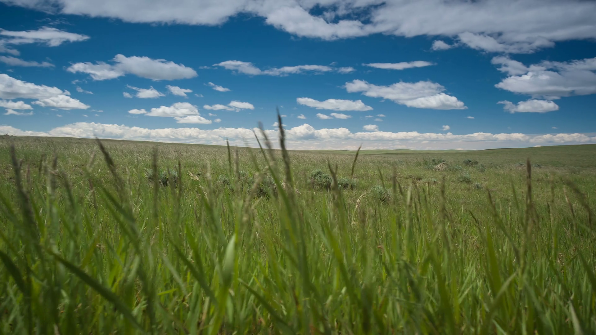South Dakota Plains Stock Video Footage 0008 SBV312578594 Storyblocks