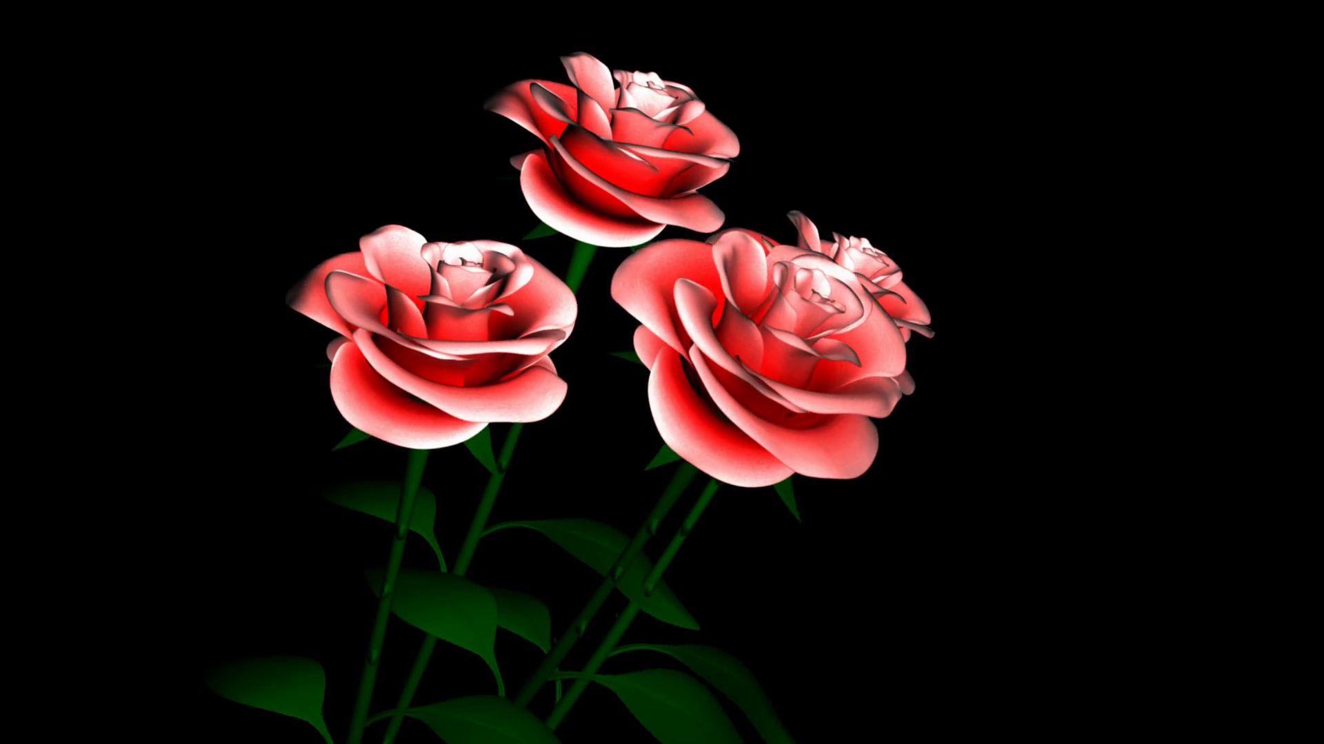 Spinning Pink Flowers Stock Motion Graphics SBV300019105 Storyblocks