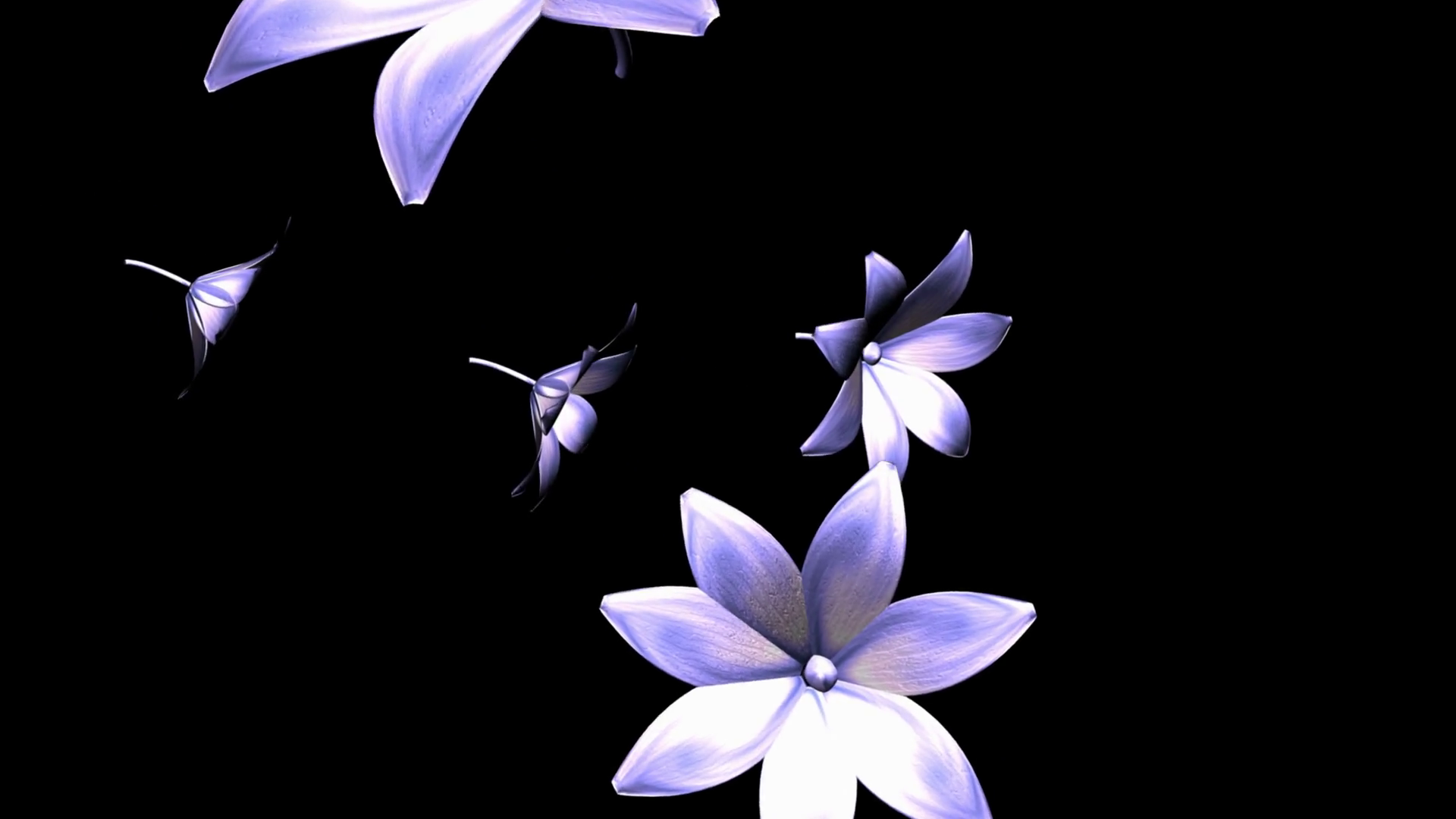 Spinning purple flowers Motion Background 0014 SBV300019072 Storyblocks