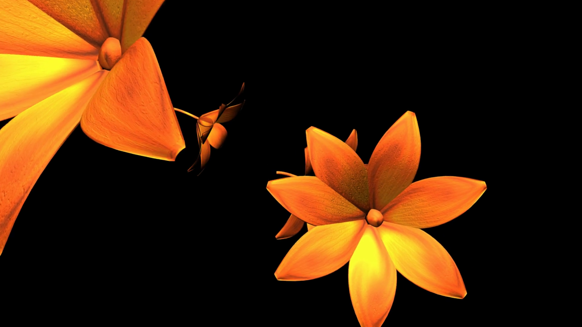 Spinning Yellow Flowers 2 Stock Motion Graphics SBV300018965 Storyblocks