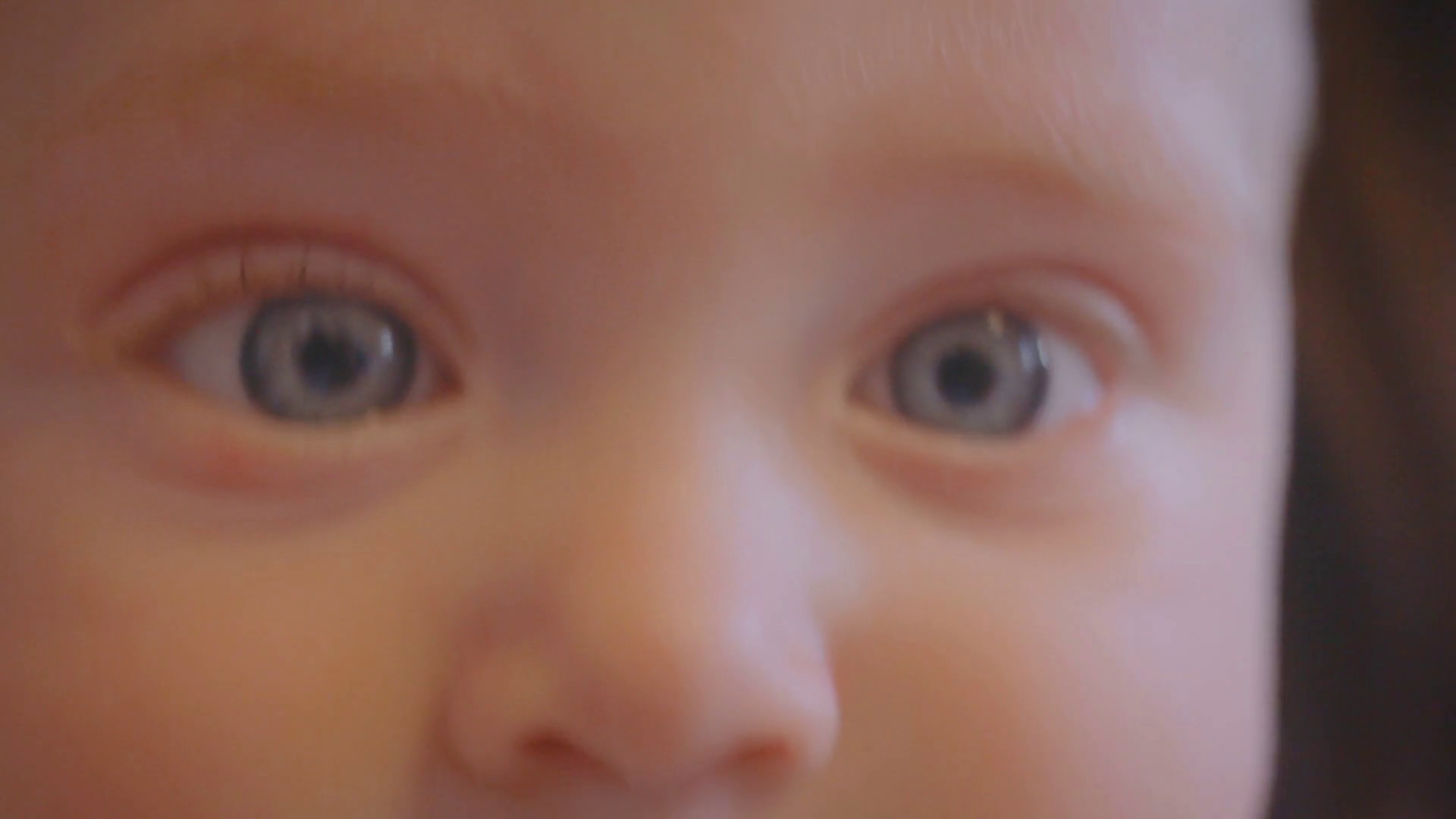 Close Up of Babies Looking Into Camera Stock Video Footage Storyblocks