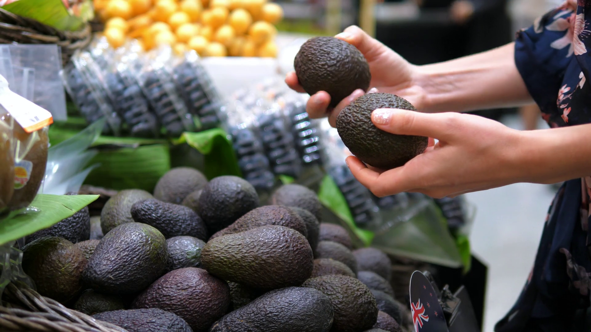 choosing avocado