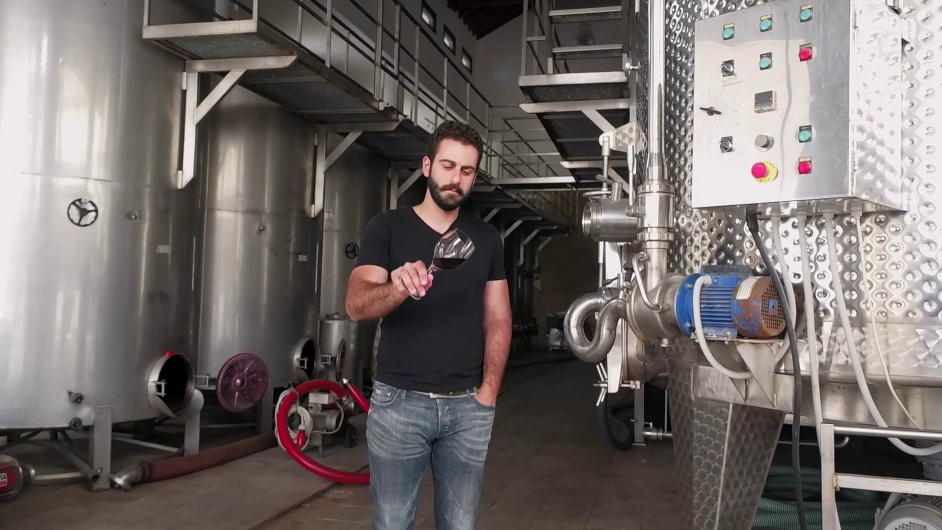 Handsome wine maker checking wine quality at the manufacturing with
