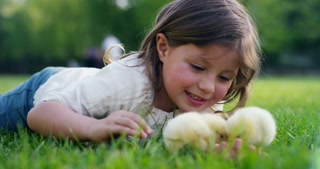 The best moments of life: girls playing in the park with adorable chickens, surrounded by nature and love