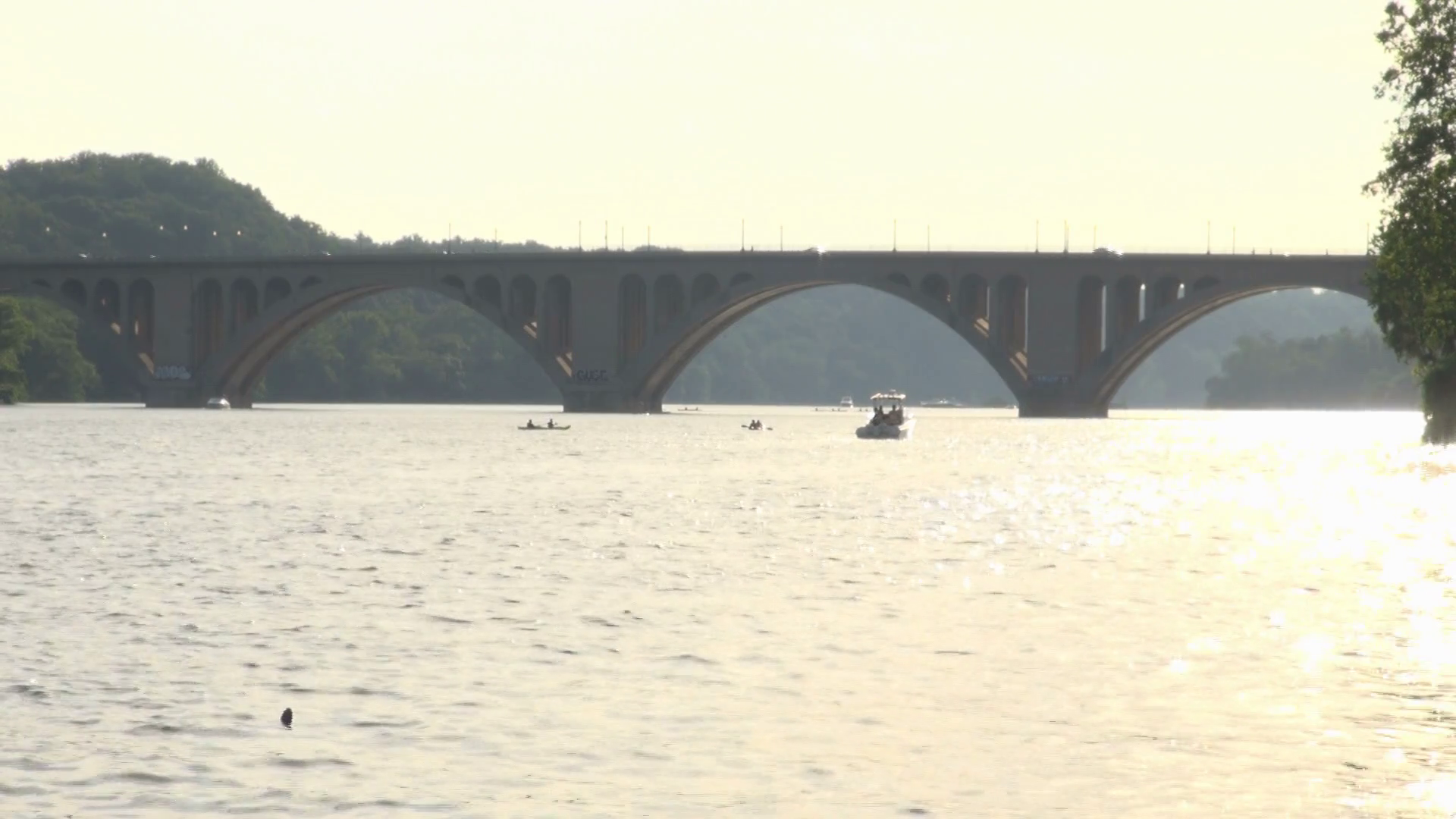 View Of Theodore Roosevelt Memorial Bridge Stock Footage SBV300105462