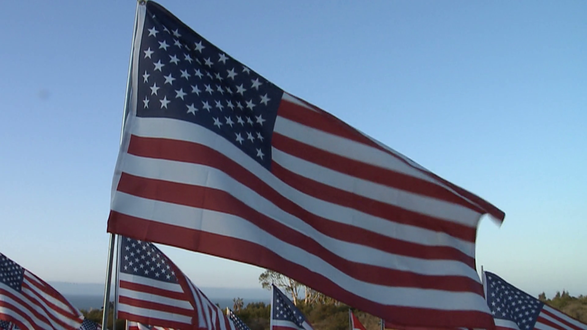 Waving Flags Stock Footage SBV-300171785 - Storyblocks