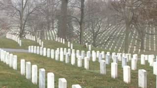 Zoom Out Graves In Arlington