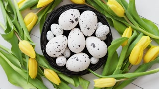 Colorful tulips and eggs in nest on white background. Spring and Easter theme with space.