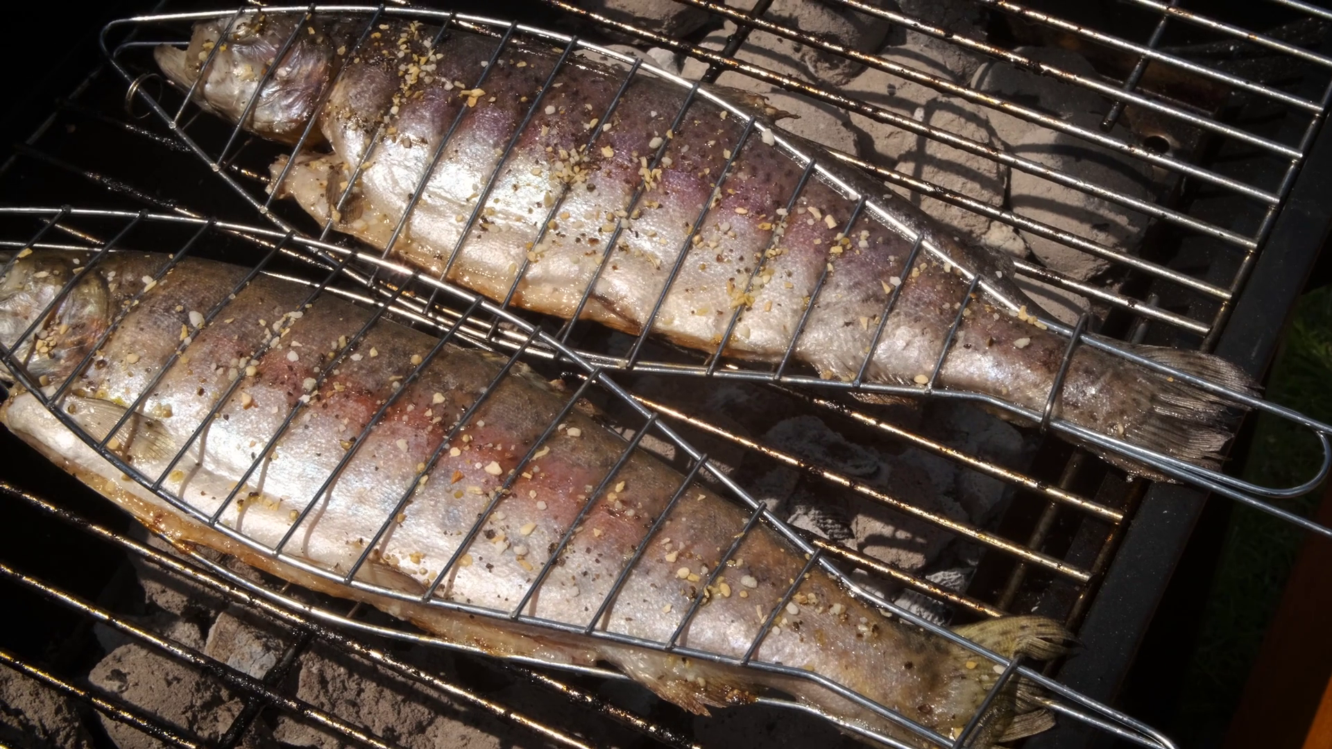 Tasty whole fishes placed on barbecue grill. Trout with herbs on fire
