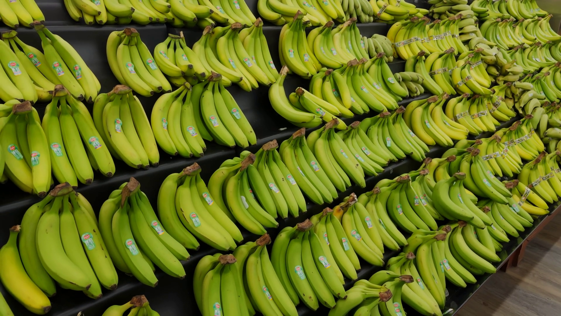 Fresh Bananas Neatly Displayed At Grocery Stock Footage SBV 351902540 