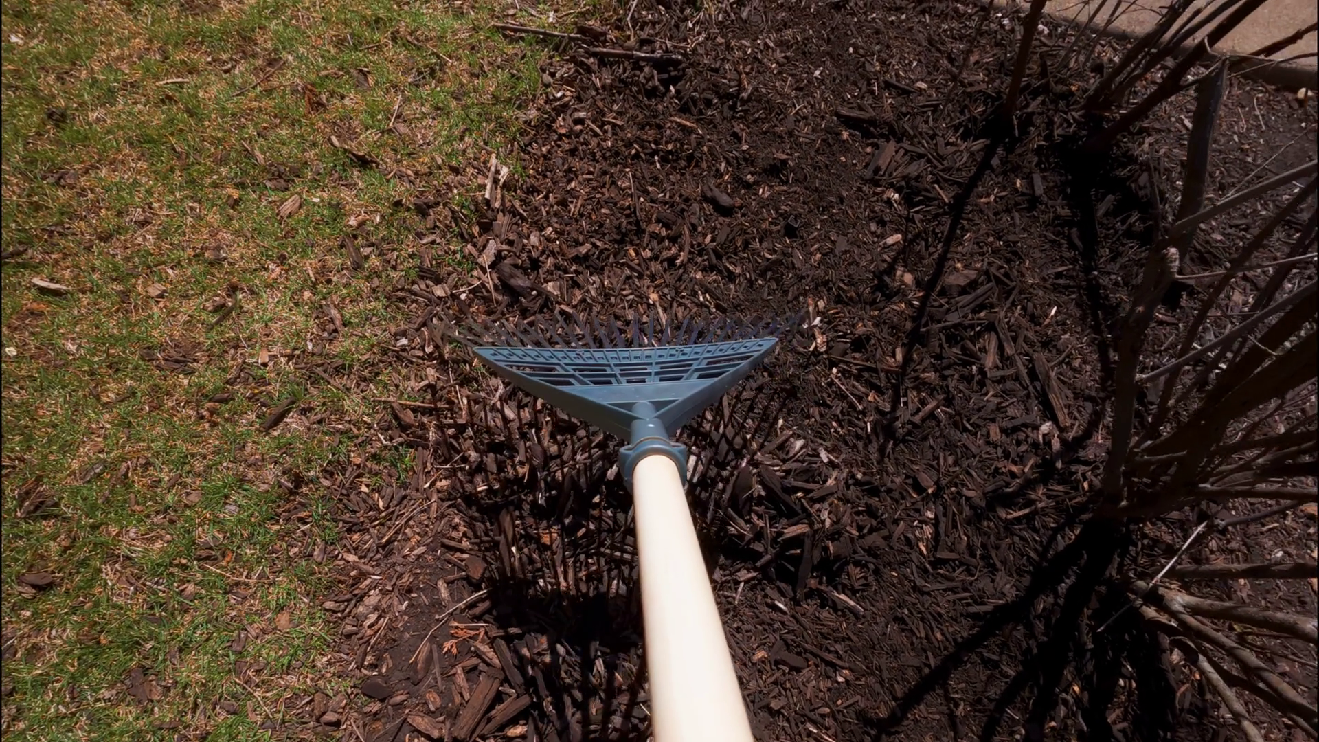 The Gardener Rakes Pine Bark Mulch Feed Stock Footage SBV-352173540 ...
