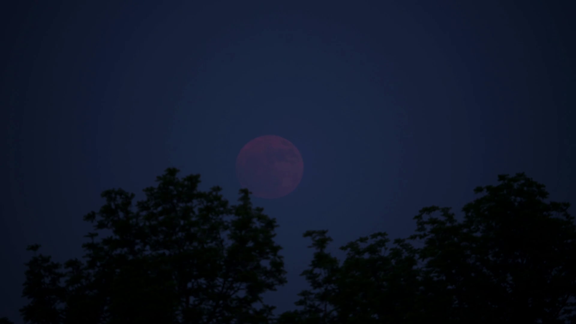 View At Big Red Full Raising Bloody Moon At Stock Footage SBV-352618537 ...