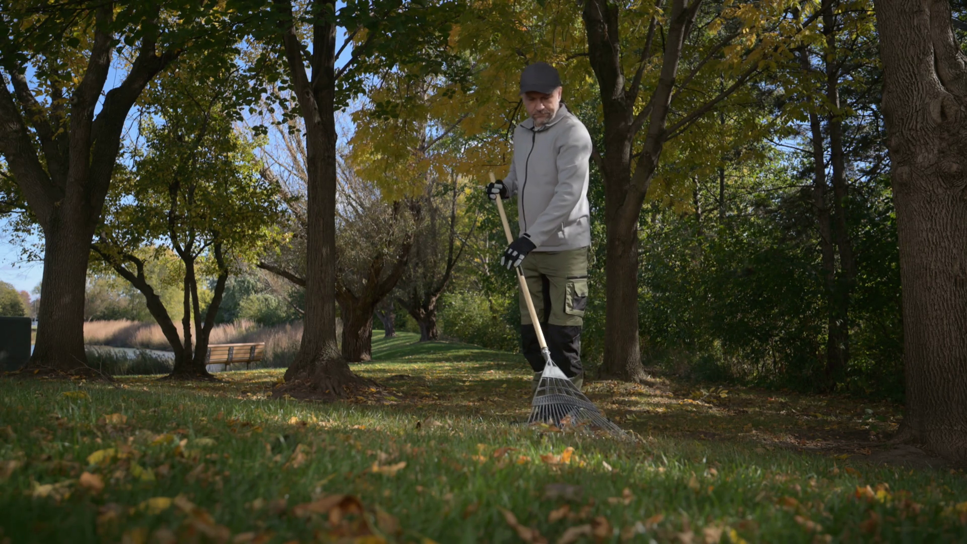 Gardener Raking Fallen Autumn Leaves On Stock Footage SBV-353233450 ...