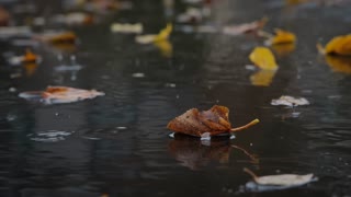 Raindrops and falling leaf on the asphalt road. Slow motion