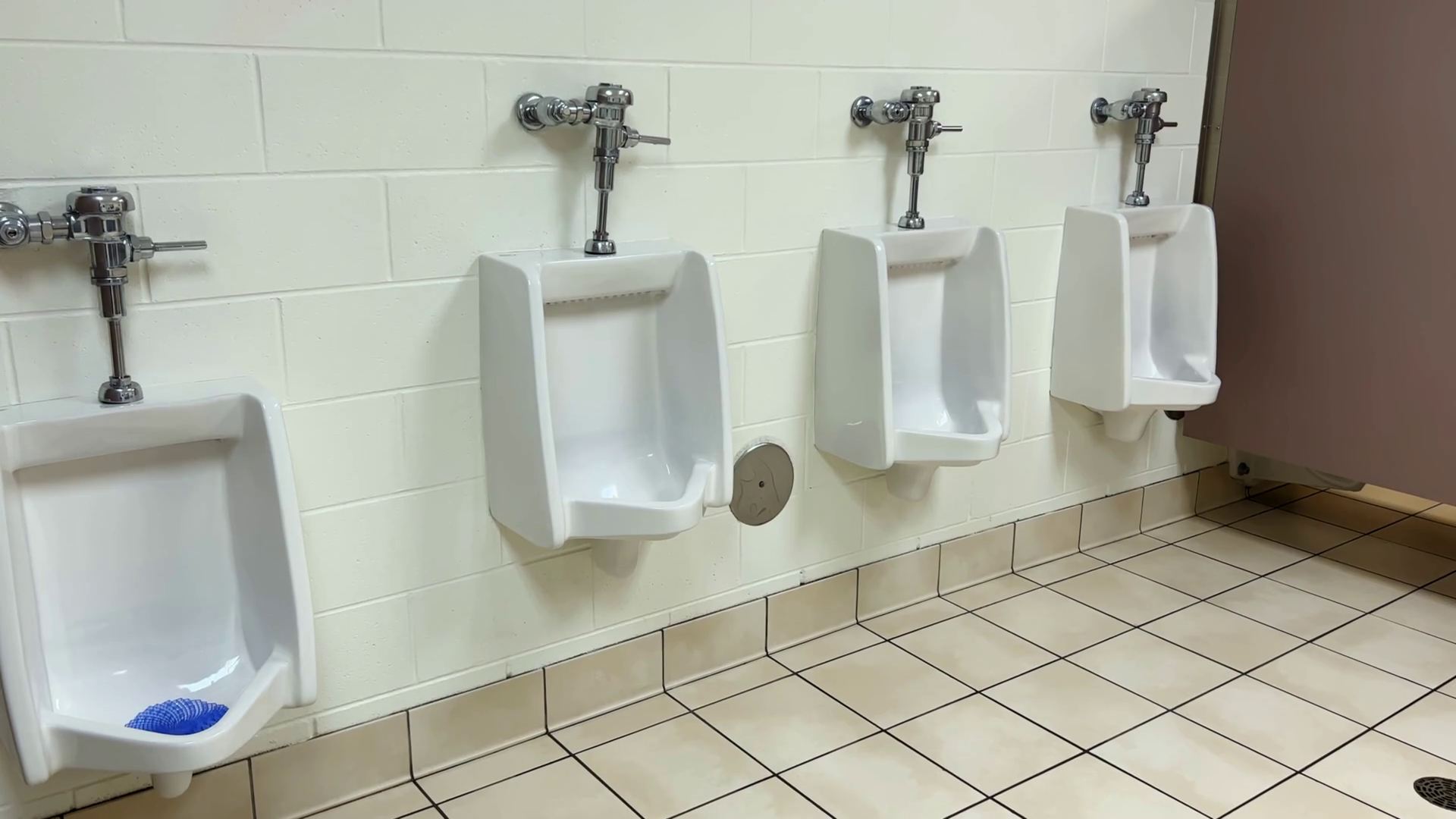 Men's Public Restroom White Porcelain Stock Footage SBV347667978