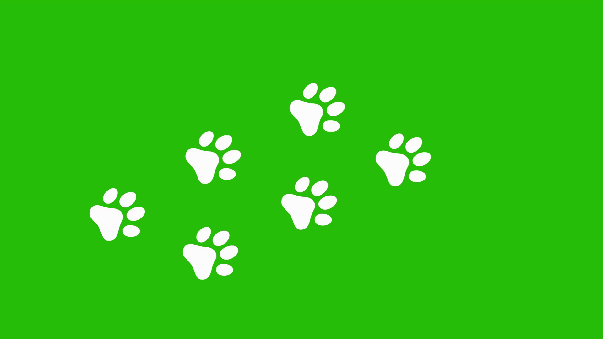 Dog Paw Print Animation With Green Screen Stock Motion Graphics SBV ...