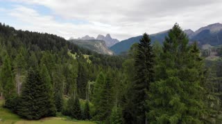 Lush green forest covering hillsides with mountains in the distance view