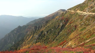 Panoramic view of autumn colors in alpine meadows on steep slopes of high mountains in Cantabrian mountains, Pyrenees
