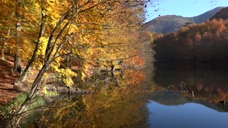 Magnificent cinematic view of dry tree leaves on peaceful calm relaxing autumn lake water