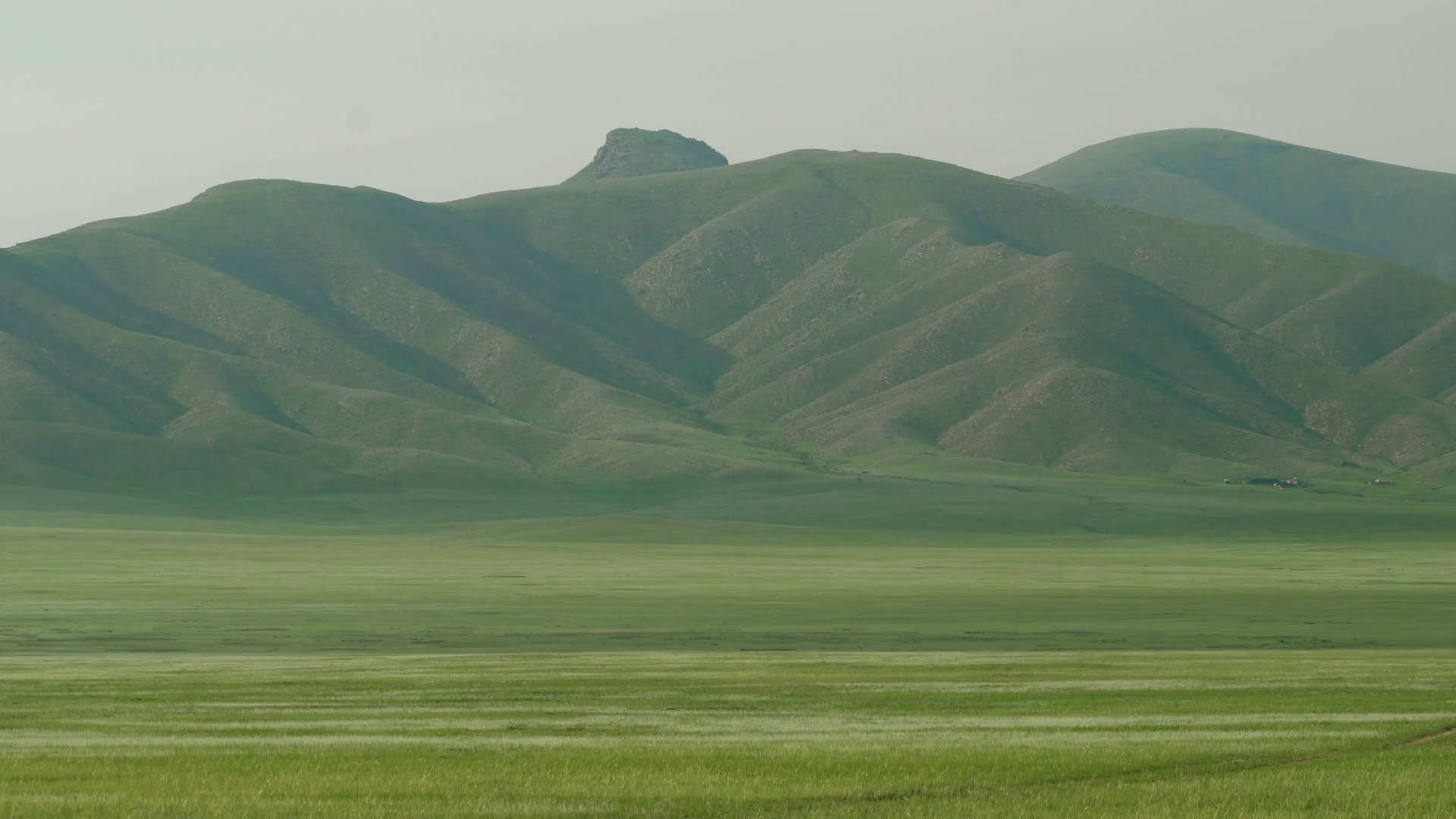 Plain in Treeless Wide Valley Stock Video Footage 0010 SBV347083224