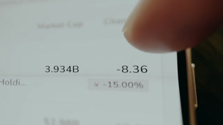 Person views the data for Market Cap and percentage changes