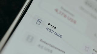 Spendings on Food category totaling 452 US dollars from money tracker application