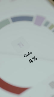 Donut chart displays the percentage share of expenses for Cafe and Transport categories