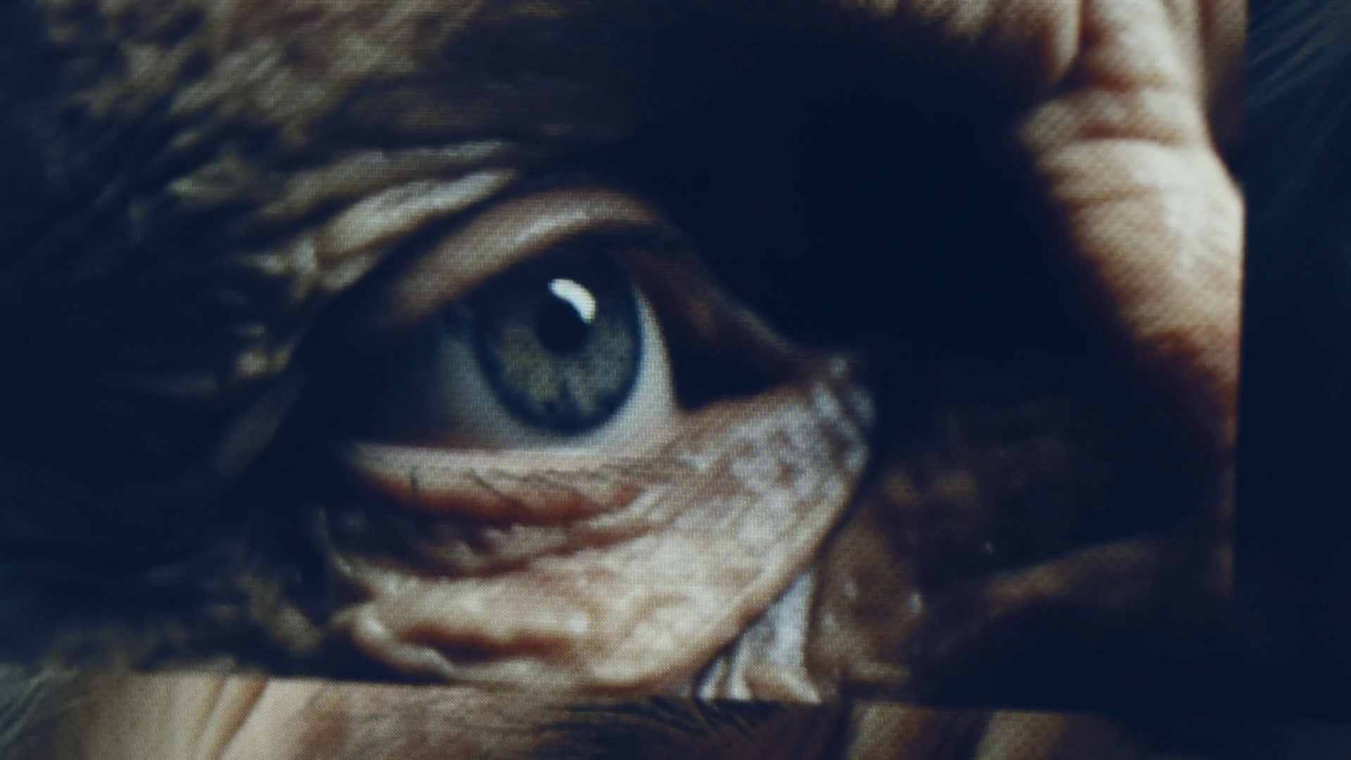 Process Of Generation Of Artistic Content Ai Stock Footage SBV