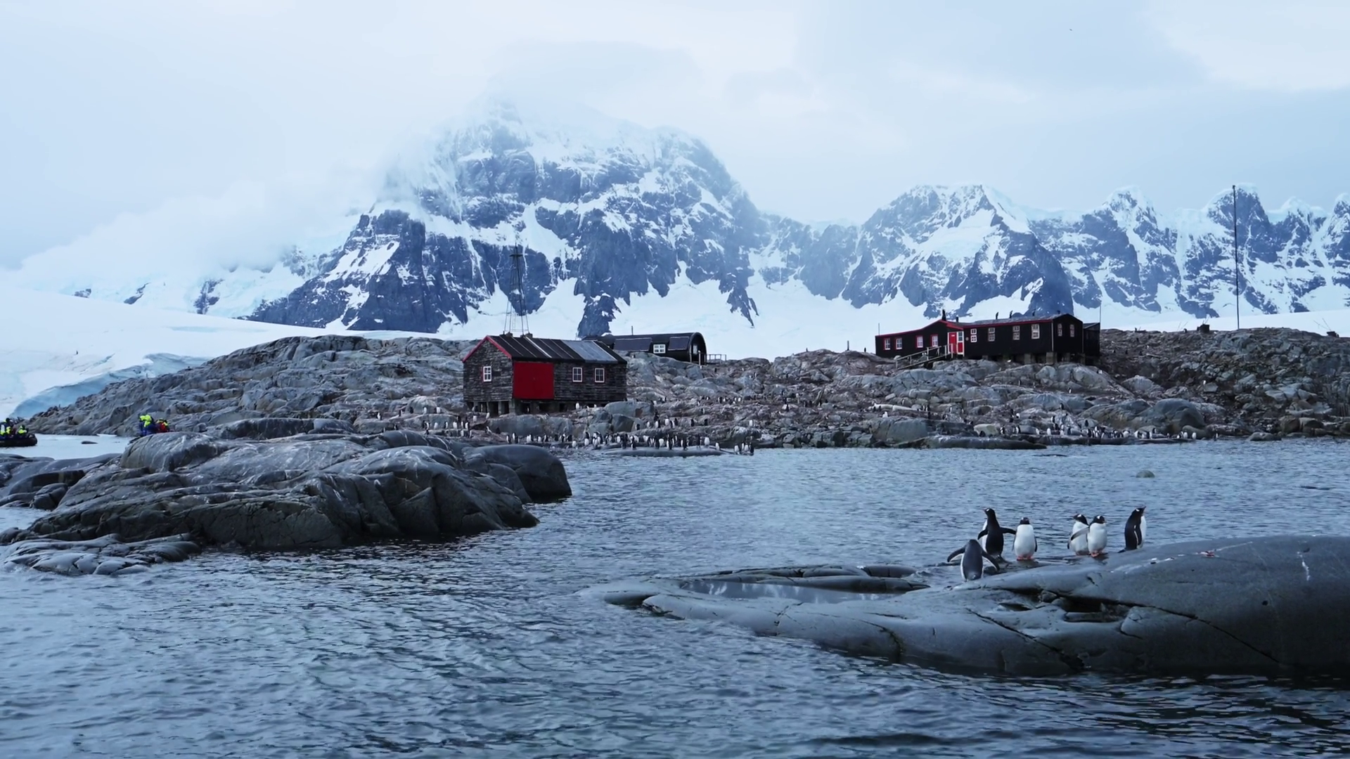 Port Lockroy Gentoo Penguins Colony In Stock Footage SBV-352919929 ...