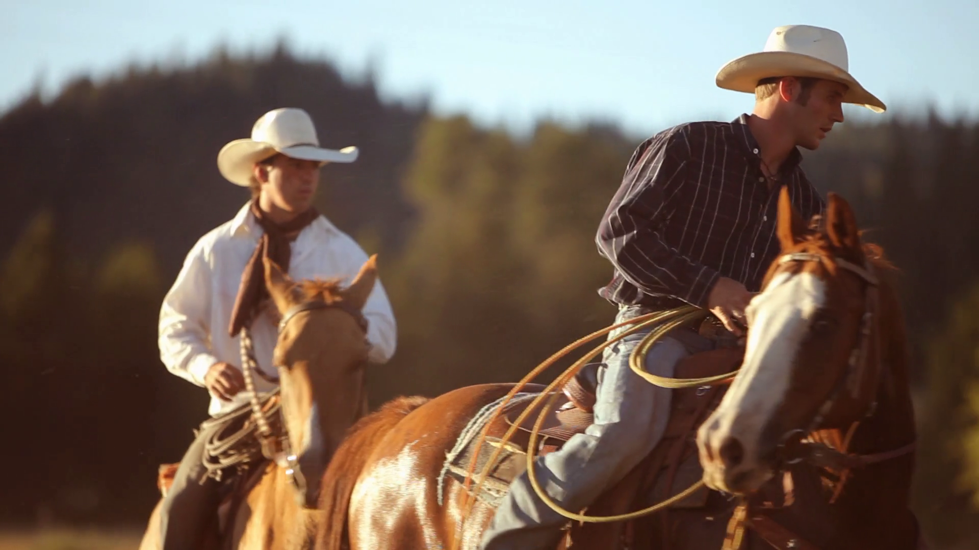 Artist Spotlight - Via Films