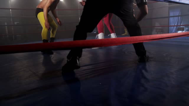 Wrestling Show Stock Footage RoyaltyFree Video Clips Storyblocks
