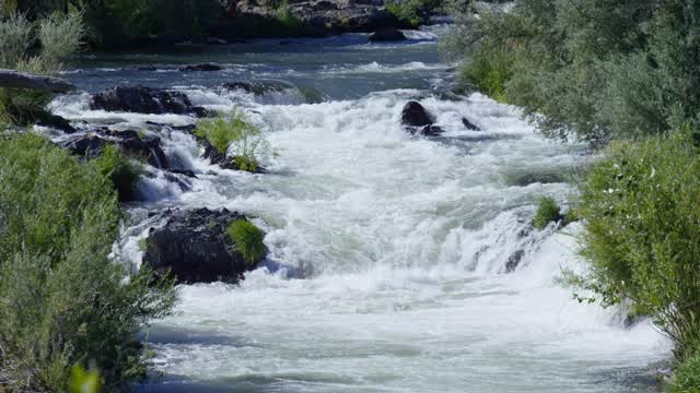 Rouge River Stock Footage: Royalty-Free Video Clips - Storyblocks