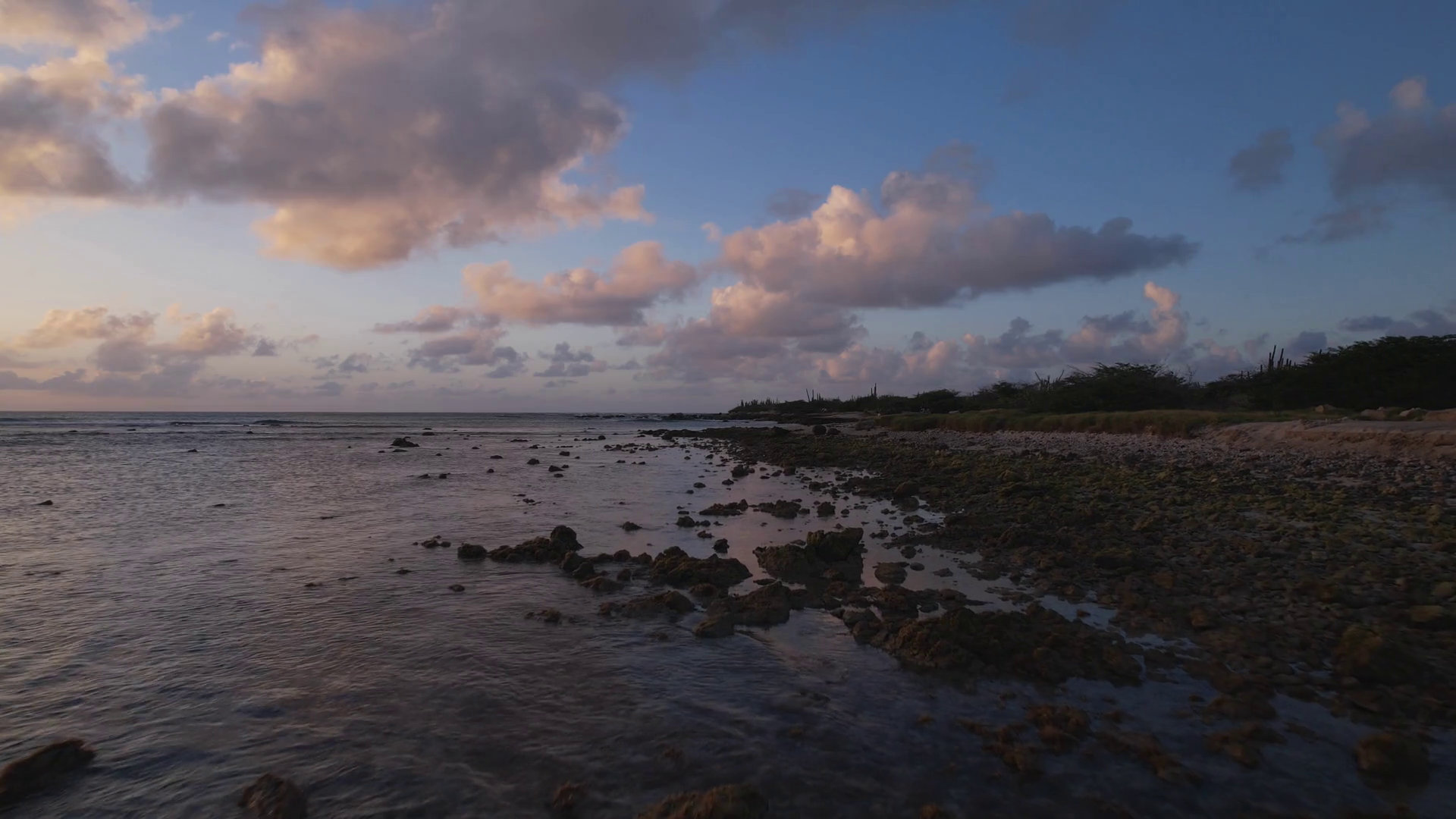 ARUBA