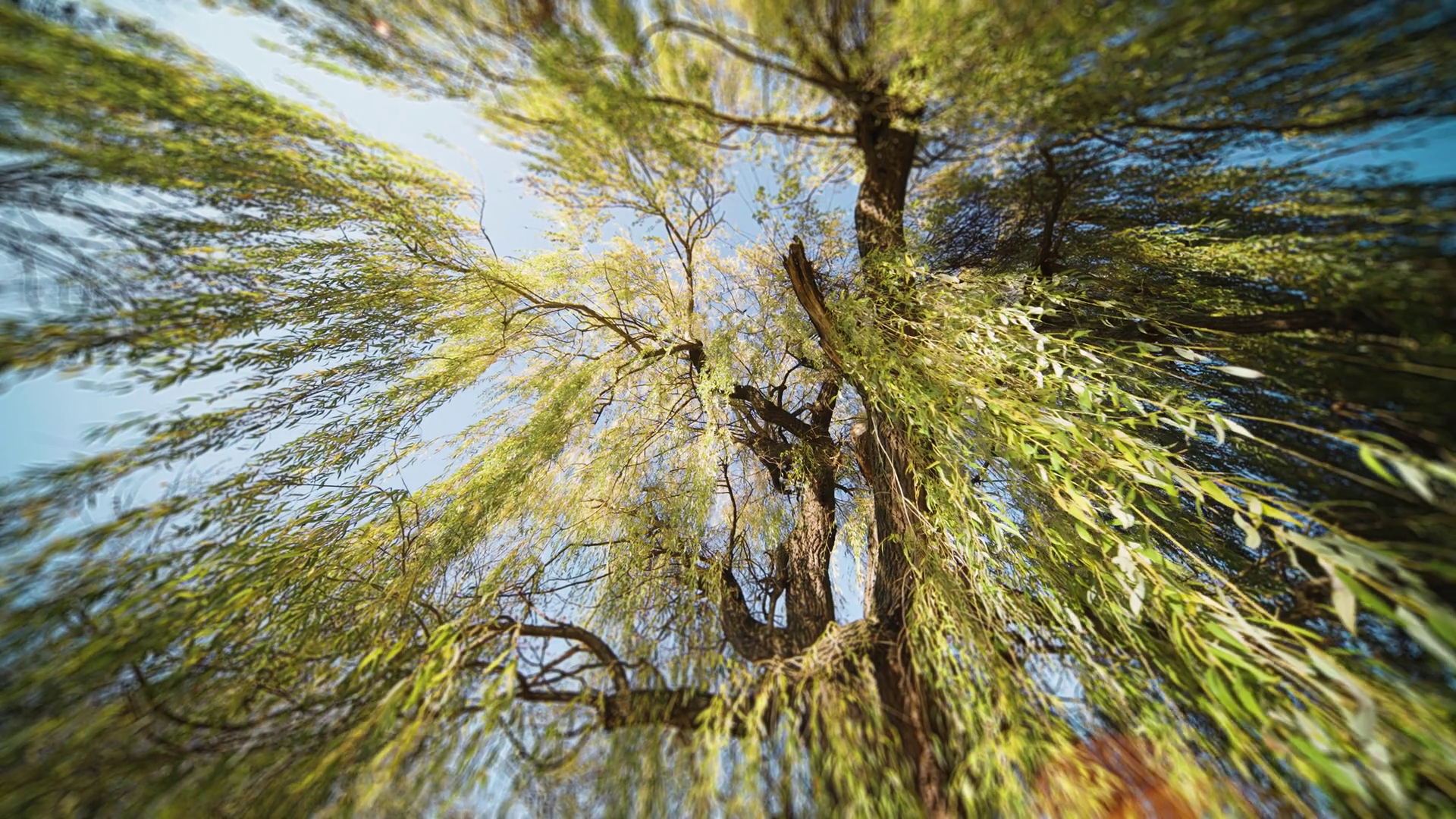 Extreme Angles